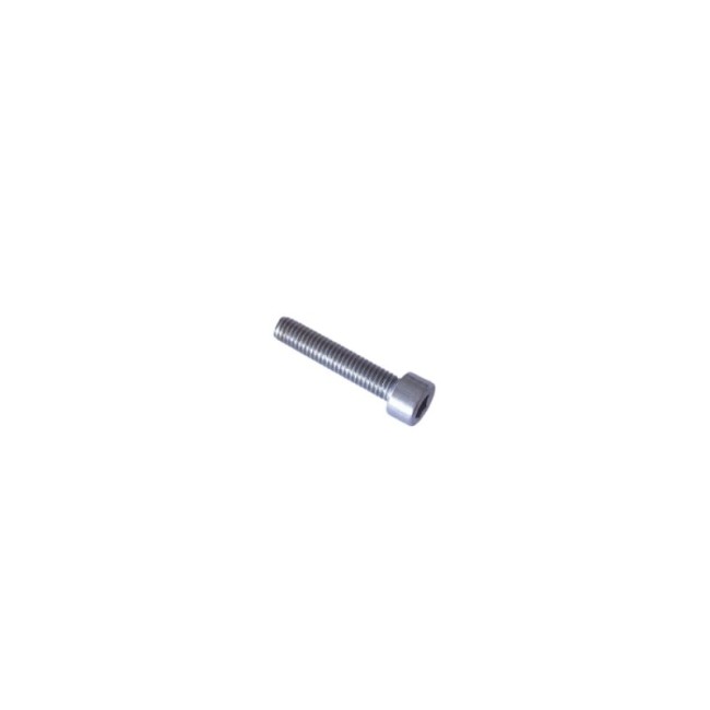 HEXAGON SOCKET HEAD CAP SCREW INOX A2 ΗΧ5 (DIN.912) M06X30 MM.