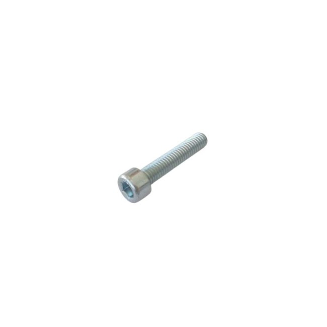 GALVANIZED HEXAGON SOCKET HEAD CAP SCREW DIN.912/8.8 M06X30 MM.