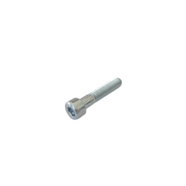 GALVANIZED HEXAGON SOCKET HEAD CAP SCREWDIN.912/8.8 M08X40 MM.