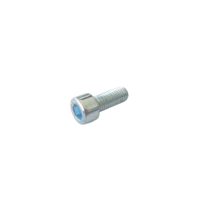 GALVANIZED HEXAGON SOCKET HEAD CAP SCREW DIN.912/8.8 M10X25 MM.