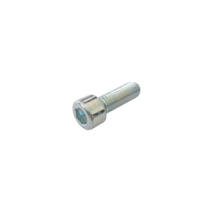 GALVANIZED HEXAGON SOCKET HEAD CAP SCREW DIN.912/8.8 M10X30 MM.