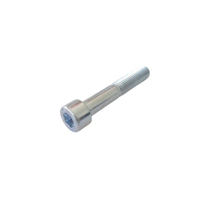 GALVANIZED HEXAGON SOCKET HEAD CAP SCREW DIN.912/8.8 M10X60 MM.