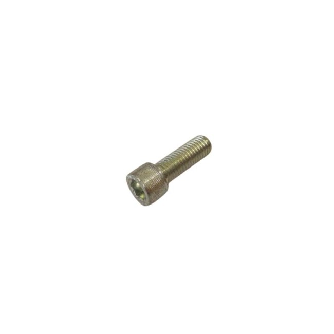 GALVANIZED HEXAGON SOCKET HEAD CAP SCREW DIN.912/8.8 M12X25 MM.