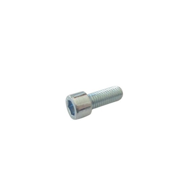 GALVANIZED HEXAGON SOCKET HEAD CAP SCREW DIN.912/8.8 M12X30 MM.