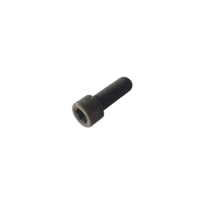 GALVANIZED HEXAGON SOCKET HEAD CAP SCREW DIN.912/8.8 M20X55 MM.