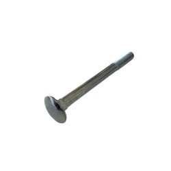 GALVANIZED BOLTS WITH MUSHROOM HEAD AND SQUARE NECK DIN.603/4.6 M10X110 MM. GALVANIZED BOLTS WITH MUSHROOM HEAD AND SQUARE NECK DIN.603/4.6 M10X110 MM.